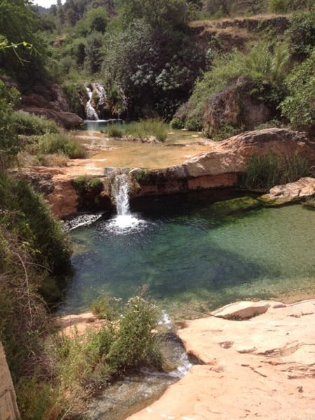 El árbol de poder en el curso de chamanismo de luz