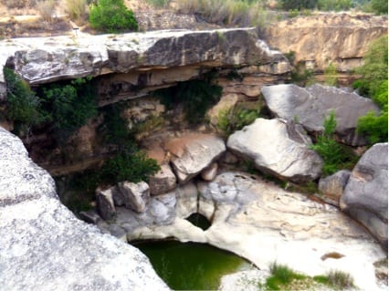 Árbol de poder en el Salt El árbol de poder: chamanismo de luz