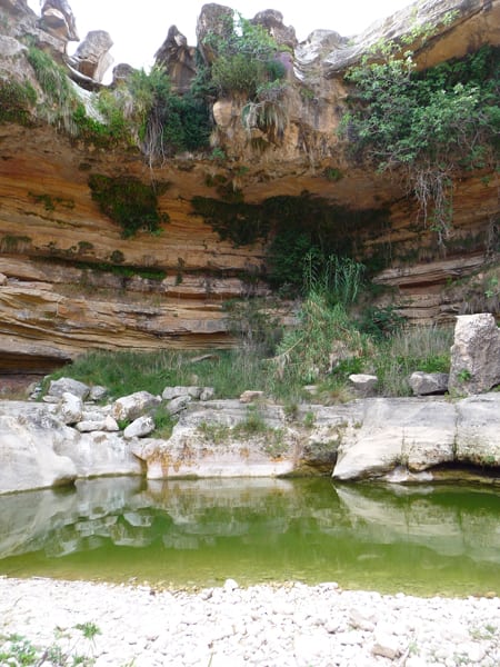 Curso de chamanismo de luz 2012: experiencias Curso de chamanismo de luz 2012