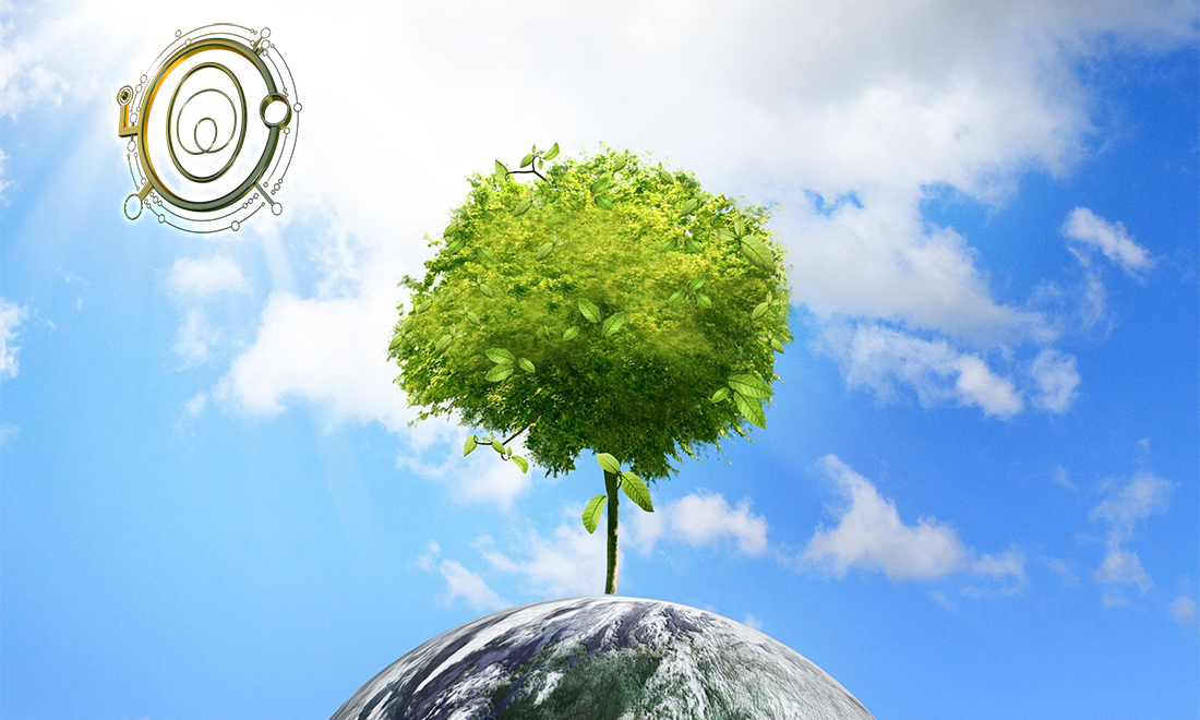 Testimonios chamanismo