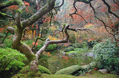 La luz interior: el fosfeno