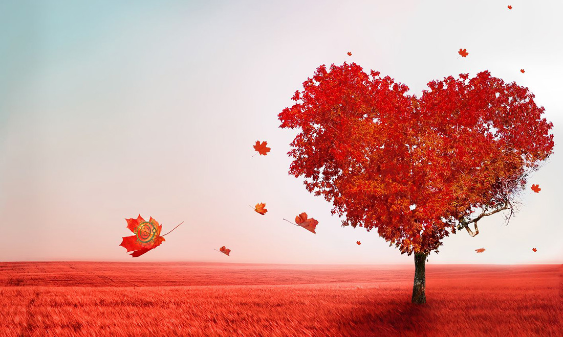 chakra anahata, chakra del corazón