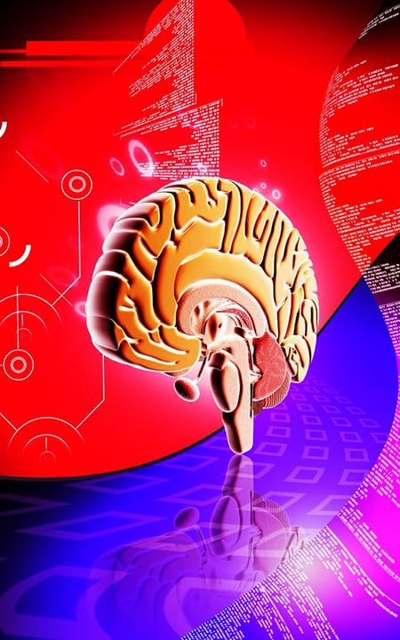 Cerebro reptiliano y activación de la pineal con fosfenos Cerebro reptiliano