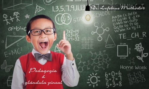 Pedagogía y glándula pineal