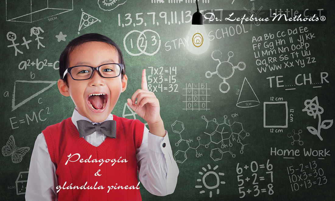 Pedagogía y glándula pineal
