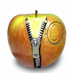 Fosfenismo y espejo interior