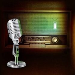 La nit dels ignorants