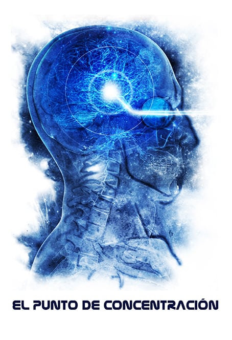 El punto de concentración libro en pdf