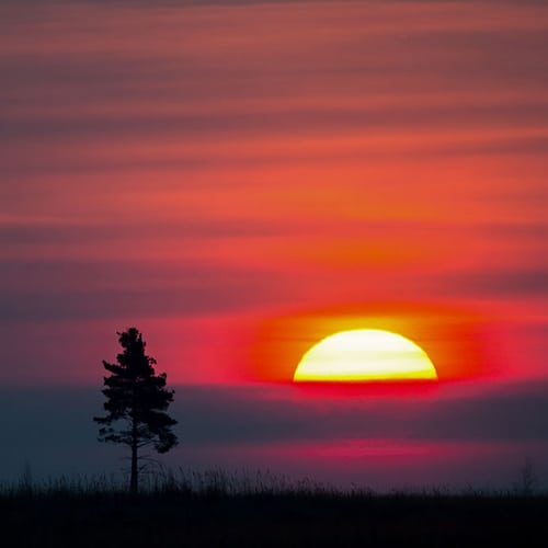 la magia del solsticio de verano