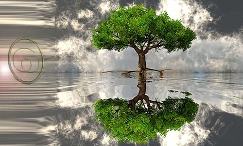 Experiencias iniciáticas, tonal y nagual