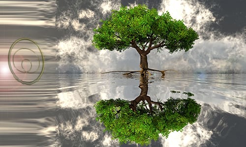 Experiencias iniciáticas, tonal y nagual