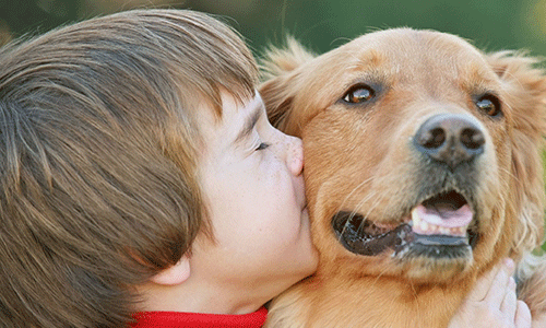 Telepatia con animales a través del fosfeno