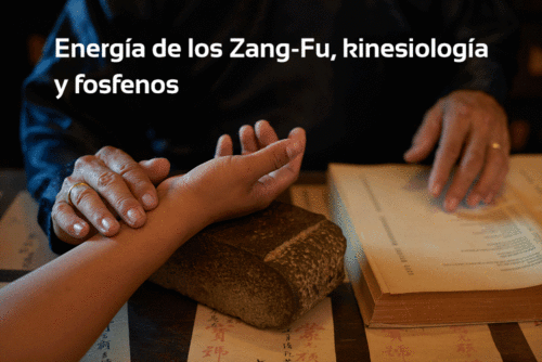 Energía de los Zang-Fu, kinesiología y fosfenos
