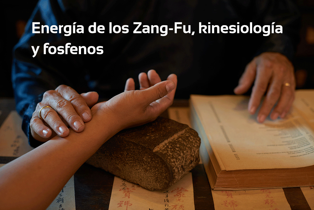 Energía de los Zang-Fu, kinesiología y fosfenos