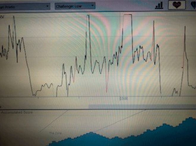 Energía de los Zang-Fu y HRV