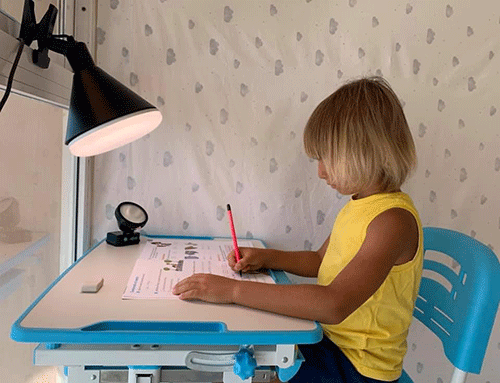 Fosfenos mediante luz polarizada